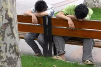 Hài hước khi con người biến mọi thứ thành giường ngủ