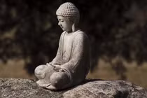 Tất thảy mọi thứ trên đời đến và đi đều là duyên phận