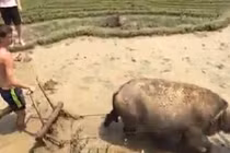 Du lịch trải nghiệm: Hướng đi mới cho Mù Cang Chải