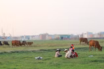 Hàng loạt dự án “trâu nằm” xuất hiện như “nấm sau mưa“