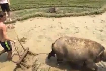 Du lịch trải nghiệm: Hướng đi mới cho Mù Cang Chải