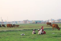 Hàng loạt dự án “trâu nằm” xuất hiện như “nấm sau mưa“