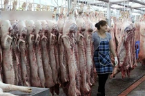 Trắng đêm ở chợ thịt heo lớn nhất Sài Gòn 