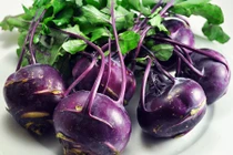 Mê mẩn trồng su hào tím tô điểm cho vườn cực xinh