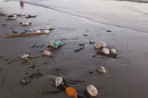 Nhận diện vật thể lạ hôi thối tấn công biển Trà Cổ