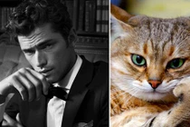 Người mẫu chuyên nghiệp cũng phải “chào thua“ loài vật này