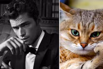 Người mẫu chuyên nghiệp cũng phải “chào thua“ loài vật này