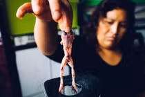 Khủng khiếp sinh tố ếch tươi: Thần dược viagra của người Peru