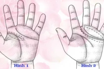 Có những nét tướng tay này, 100% sẽ kết hôn muộn!