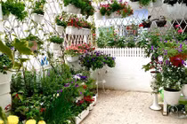 Ban công đẹp như cổ tích của bà mẹ trẻ Hà Thành