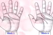 Có những nét tướng tay này, 100% sẽ kết hôn muộn!