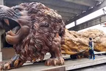 Xôn xao nguồn gốc sư tử “khổng lồ” gây chú ý trên MXH 