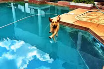 Những hình ảnh trùng hợp đến khó tin gây sửng sốt