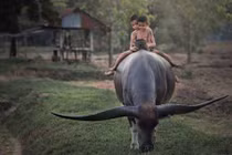 Những bức ảnh ẩn chứa nhiều xúc cảm gây rung động dạt dào