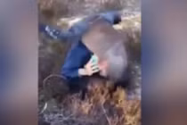 Chim lạ khổng lồ tấn công thanh niên trong rừng