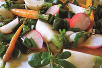 Rau sam - vị thuốc thần kỳ từ thứ rau dân dã 