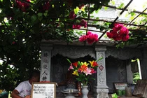 “Soái ca” U80 dựng cả khu vườn tình yêu bên mộ vợ 