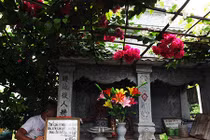“Soái ca” U80 dựng cả khu vườn tình yêu bên mộ vợ 