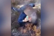 Chim lạ khổng lồ tấn công thanh niên trong rừng