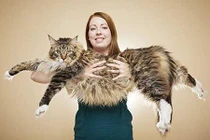 Những kỷ lục độc, lạ trong sách Guinness 2017 