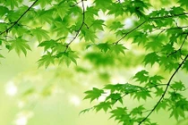 Mẹo phong thủy phát tài phát lộc trong Tết Trung Thu 