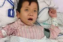 Giết rắn dài 2m, cả gia đình bị trả thù tàn độc