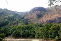 Những chuyện thót tim vì khỉ thời chiến tranh vùng Thất Sơn