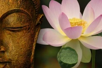 Bốn chân lý về hạnh phúc thực sự của đức Phật 