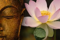 Bốn chân lý về hạnh phúc thực sự của đức Phật 