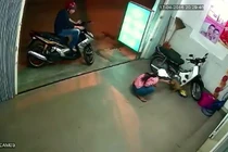 Đôi nam nữ dàn cảnh trộm chó Golden ở TP HCM