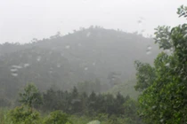 Sát thủ máu lạnh bí ẩn vùng Đông Bắc