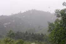 Sát thủ máu lạnh bí ẩn vùng Đông Bắc