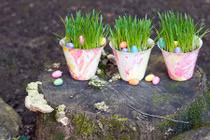 Top cây phong thủy để bàn siêu đẹp lại “hô tài đón lộc”