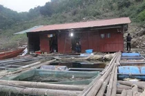 Cảnh khổ tận cùng của “chị Dậu” ở hồ Thủy điện Hòa Bình