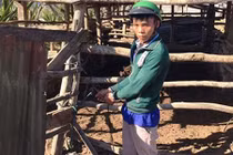 Hành trình “đánh án” trộm trâu giữa đại ngàn