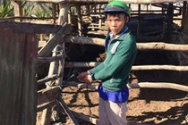 Hành trình “đánh án” trộm trâu giữa đại ngàn