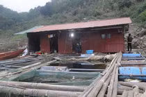 Cảnh khổ tận cùng của “chị Dậu” ở hồ Thủy điện Hòa Bình