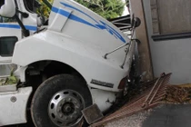 Thoát chết trong gang tấc nhờ gốc cây trước nhà