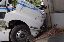 Thoát chết trong gang tấc nhờ gốc cây trước nhà