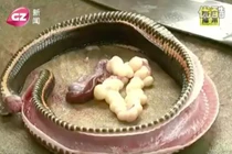 Hàng loạt người nhiễm sán nhái khi ăn thịt rắn 