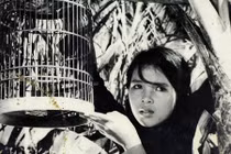 Những bộ phim làm nên thương hiệu của Hãng phim truyện Việt Nam