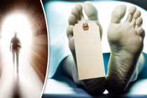 Bất ngờ: Sự sống vẫn tiếp diễn 2 ngày sau khi con người chết