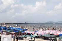 Vũng Tàu công khai số điện thoại đường dây nóng chống “chặt chém”