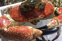 Tiệc tất niên nhà đại gia: Ăn 1 con cua 8 kg giá 60 triệu