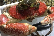 Tiệc tất niên nhà đại gia: Ăn 1 con cua 8 kg giá 60 triệu