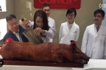 Cuộc sống giàu sang ở tuổi U50 của “Triệu Mẫn” Lê Tư