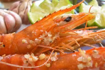 Ăn vỏ tôm lợi hay hại? 