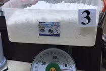 Hơn 200 cảnh sát đột kích đường dây ma túy lớn nhất nước tại Sài Gòn