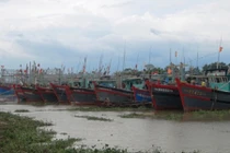 Nơi nào để xảy ra chết người do mưa bão thì lãnh đạo chịu trách nhiệm