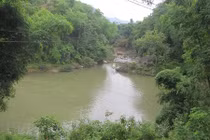 Hành trình chinh phục cây Chu trong sử thi Mường 